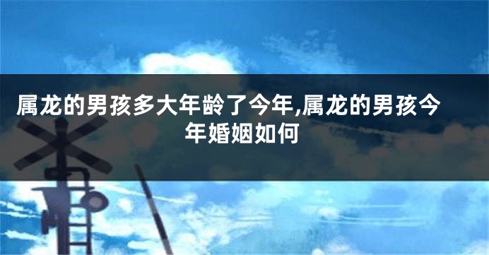 属龙的男孩多大年龄了今年,属龙的男孩今年婚姻如何