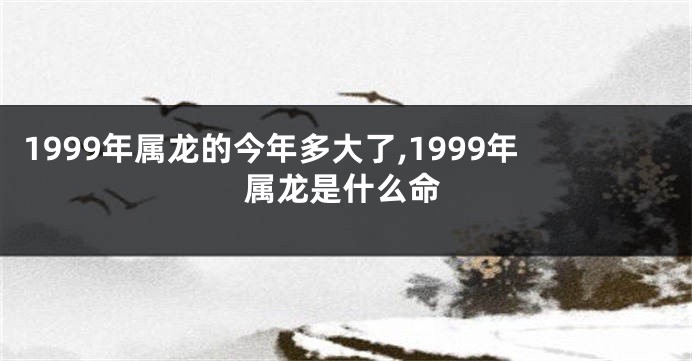 1999年属龙的今年多大了,1999年属龙是什么命