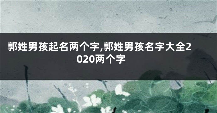 郭姓男孩起名两个字,郭姓男孩名字大全2020两个字