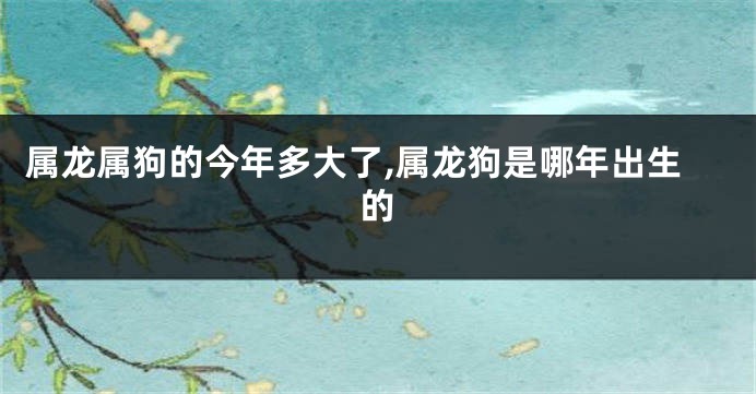 属龙属狗的今年多大了,属龙狗是哪年出生的
