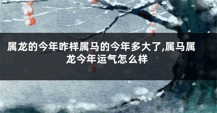属龙的今年咋样属马的今年多大了,属马属龙今年运气怎么样