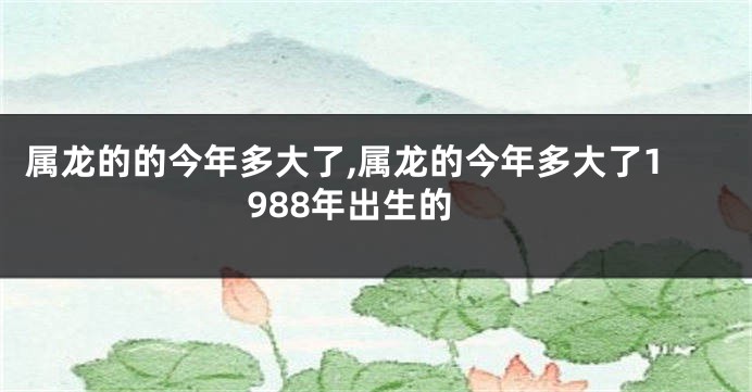 属龙的的今年多大了,属龙的今年多大了1988年出生的