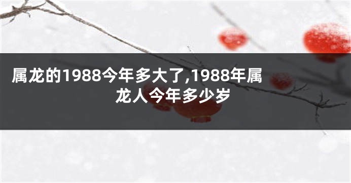 属龙的1988今年多大了,1988年属龙人今年多少岁