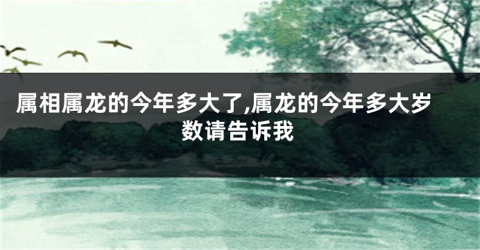 属相属龙的今年多大了,属龙的今年多大岁数请告诉我