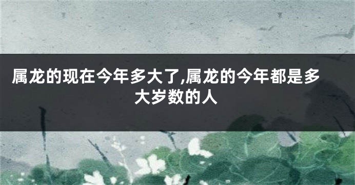 属龙的现在今年多大了,属龙的今年都是多大岁数的人