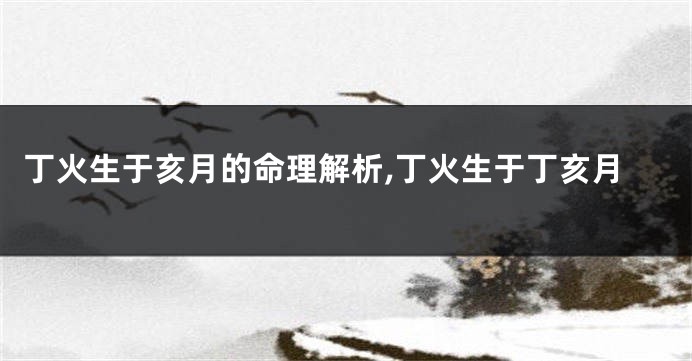 丁火生于亥月的命理解析,丁火生于丁亥月