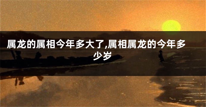 属龙的属相今年多大了,属相属龙的今年多少岁
