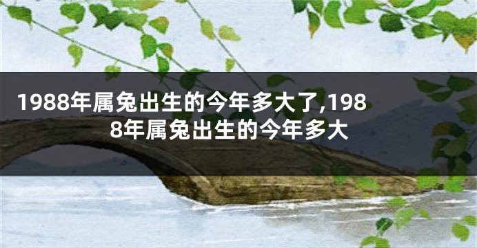 1988年属兔出生的今年多大了,1988年属兔出生的今年多大