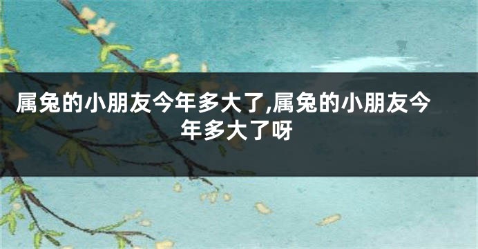 属兔的小朋友今年多大了,属兔的小朋友今年多大了呀