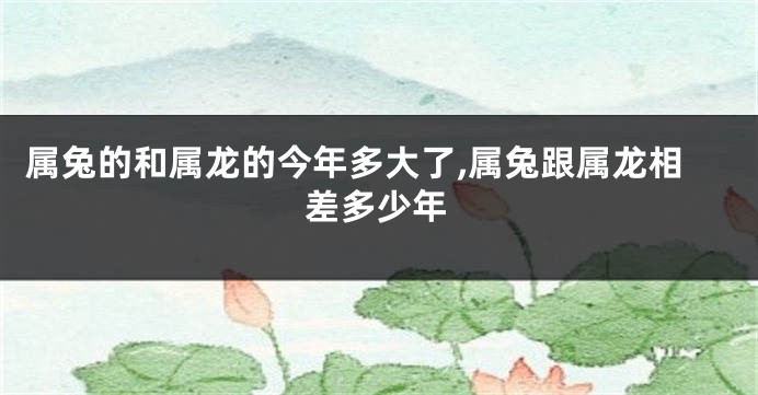 属兔的和属龙的今年多大了,属兔跟属龙相差多少年