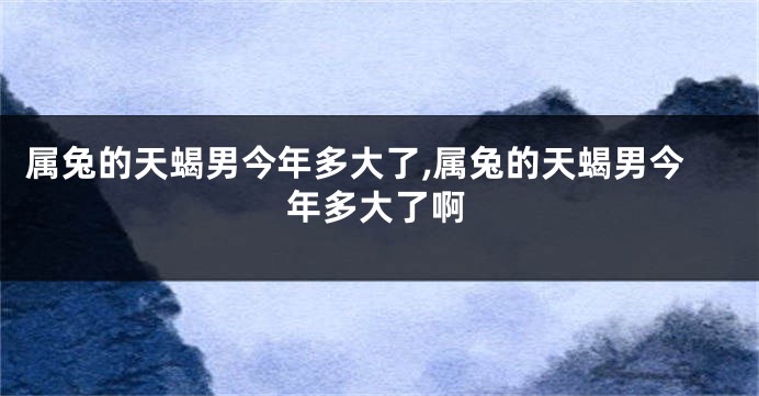 属兔的天蝎男今年多大了,属兔的天蝎男今年多大了啊