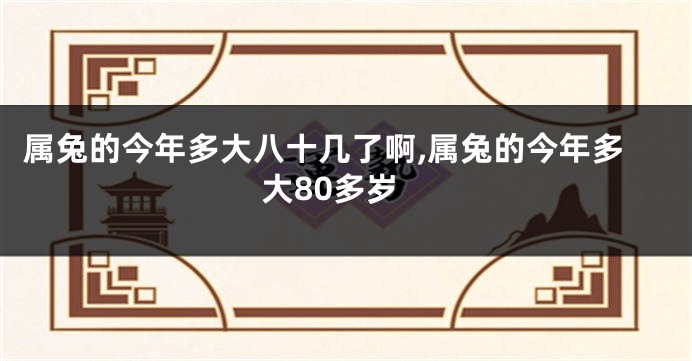 属兔的今年多大八十几了啊,属兔的今年多大80多岁