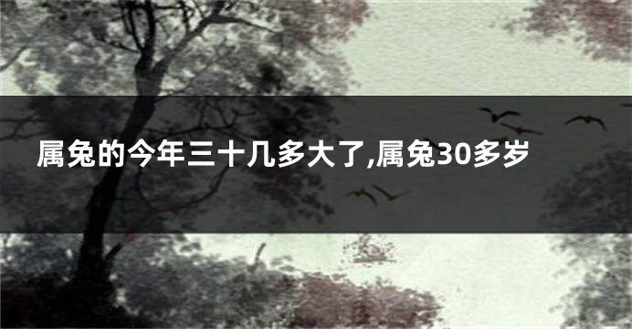 属兔的今年三十几多大了,属兔30多岁