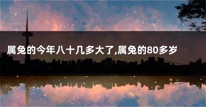 属兔的今年八十几多大了,属兔的80多岁