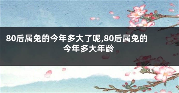 80后属兔的今年多大了呢,80后属兔的今年多大年龄