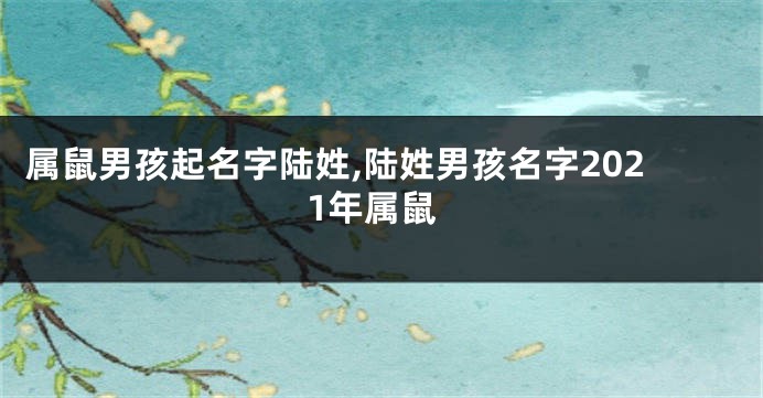属鼠男孩起名字陆姓,陆姓男孩名字2021年属鼠