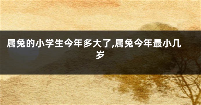 属兔的小学生今年多大了,属兔今年最小几岁