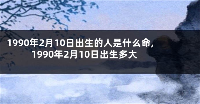 1990年2月10日出生的人是什么命,1990年2月10日出生多大