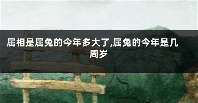 属相是属兔的今年多大了,属兔的今年是几周岁