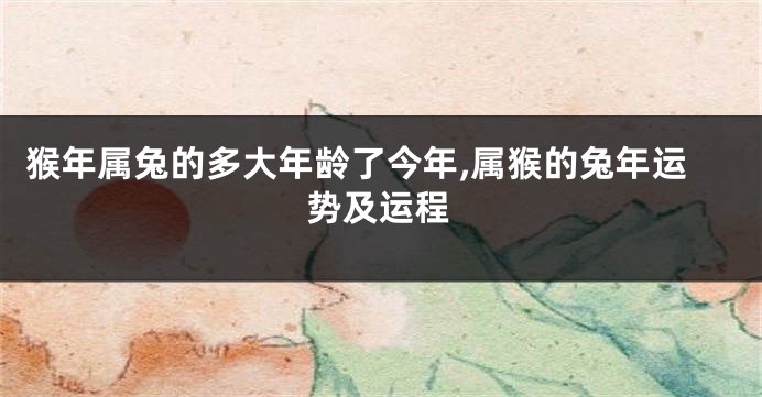 猴年属兔的多大年龄了今年,属猴的兔年运势及运程