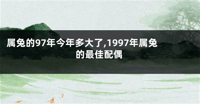 属兔的97年今年多大了,1997年属兔的最佳配偶