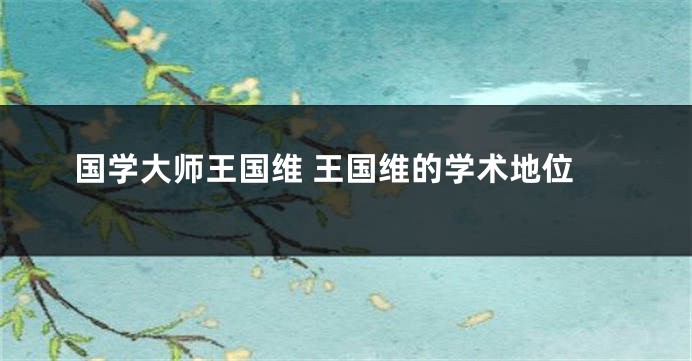 国学大师王国维 王国维的学术地位