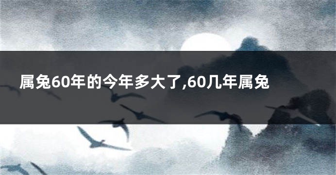 属兔60年的今年多大了,60几年属兔