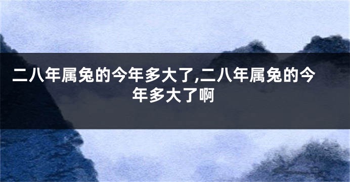 二八年属兔的今年多大了,二八年属兔的今年多大了啊