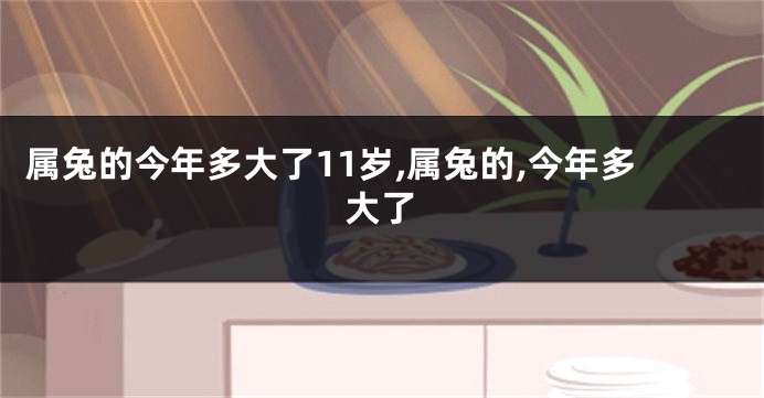 属兔的今年多大了11岁,属兔的,今年多大了