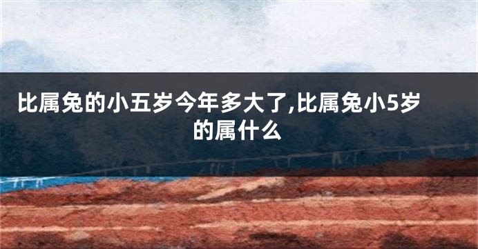 比属兔的小五岁今年多大了,比属兔小5岁的属什么