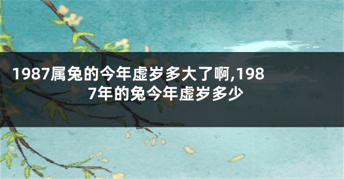 1987属兔的今年虚岁多大了啊,1987年的兔今年虚岁多少
