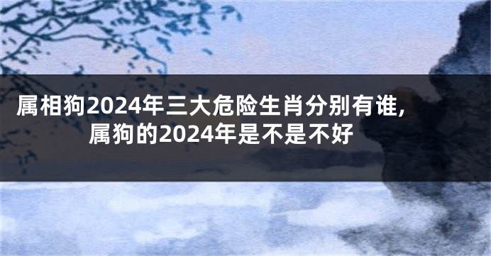 属相狗2024年三大危险生肖分别有谁,属狗的2024年是不是不好
