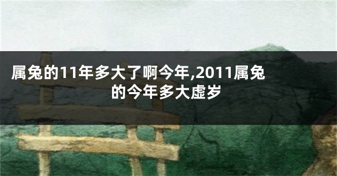 属兔的11年多大了啊今年,2011属兔的今年多大虚岁