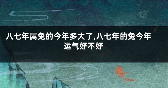 八七年属兔的今年多大了,八七年的兔今年运气好不好