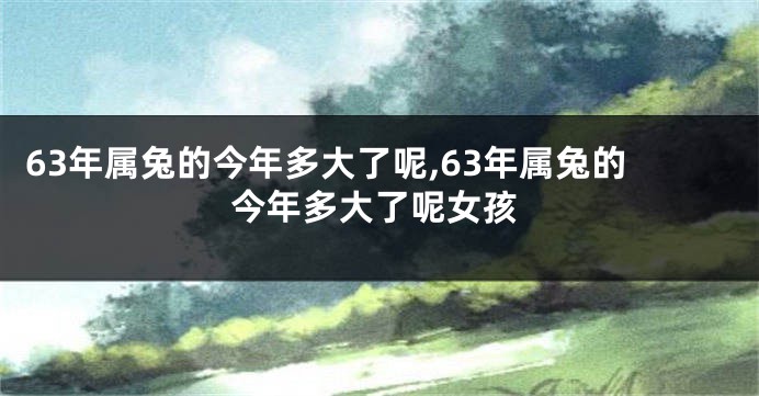 63年属兔的今年多大了呢,63年属兔的今年多大了呢女孩