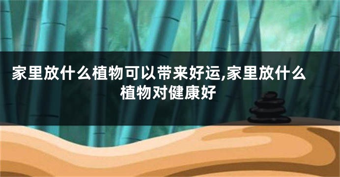 家里放什么植物可以带来好运,家里放什么植物对健康好