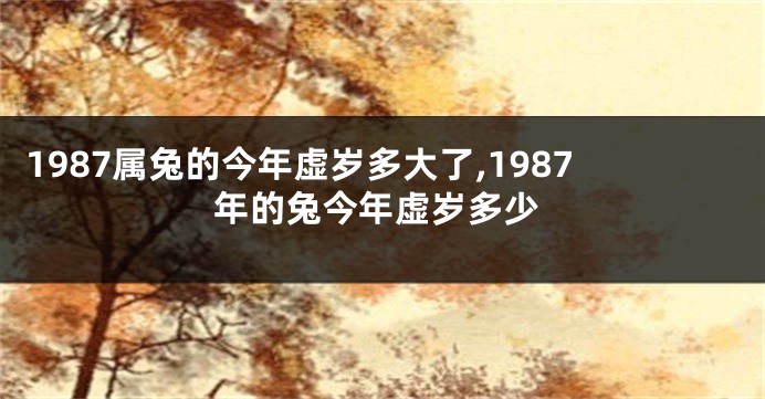 1987属兔的今年虚岁多大了,1987年的兔今年虚岁多少