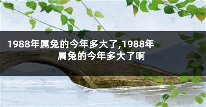 1988年属兔的今年多大了,1988年属兔的今年多大了啊