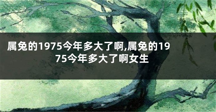 属兔的1975今年多大了啊,属兔的1975今年多大了啊女生