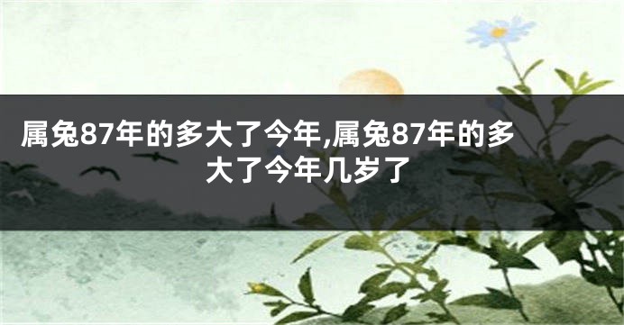 属兔87年的多大了今年,属兔87年的多大了今年几岁了