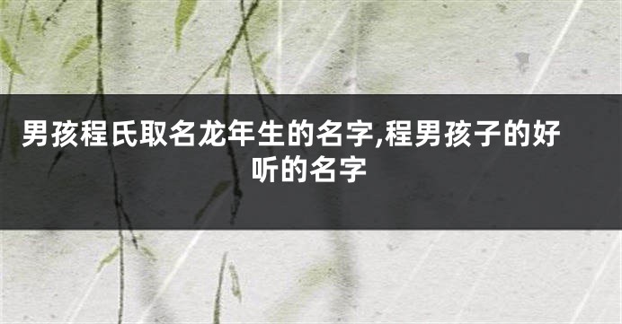 男孩程氏取名龙年生的名字,程男孩子的好听的名字