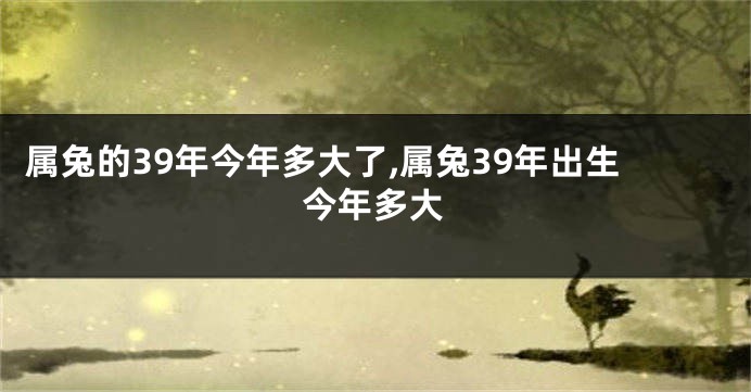 属兔的39年今年多大了,属兔39年出生今年多大