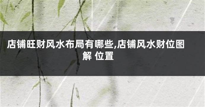 店铺旺财风水布局有哪些,店铺风水财位图解 位置