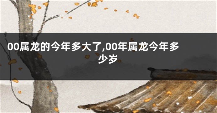 00属龙的今年多大了,00年属龙今年多少岁