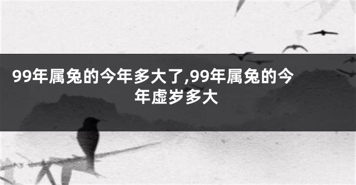99年属兔的今年多大了,99年属兔的今年虚岁多大