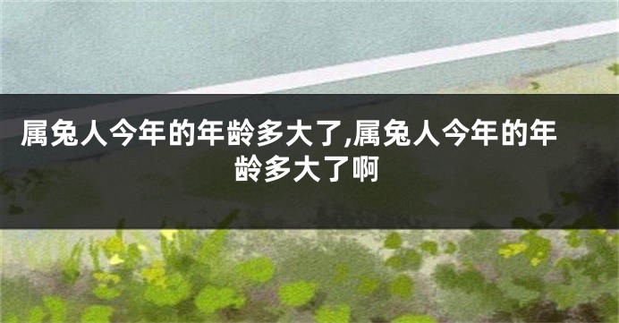 属兔人今年的年龄多大了,属兔人今年的年龄多大了啊