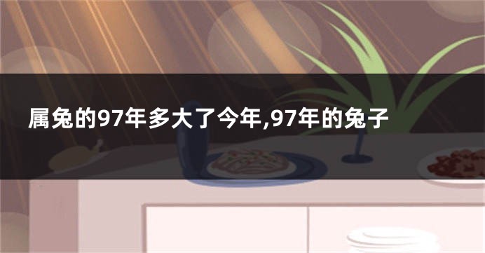 属兔的97年多大了今年,97年的兔子