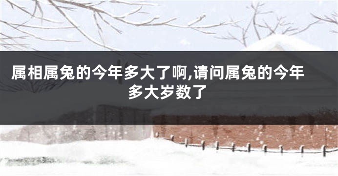 属相属兔的今年多大了啊,请问属兔的今年多大岁数了