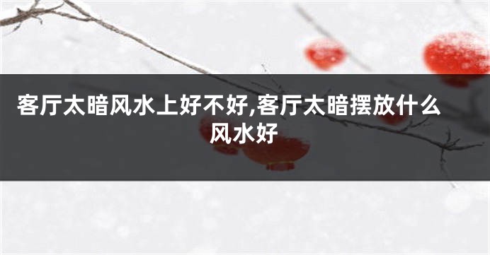 客厅太暗风水上好不好,客厅太暗摆放什么风水好