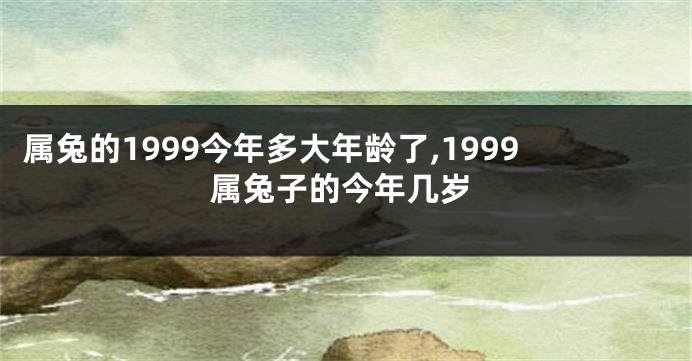 属兔的1999今年多大年龄了,1999属兔子的今年几岁